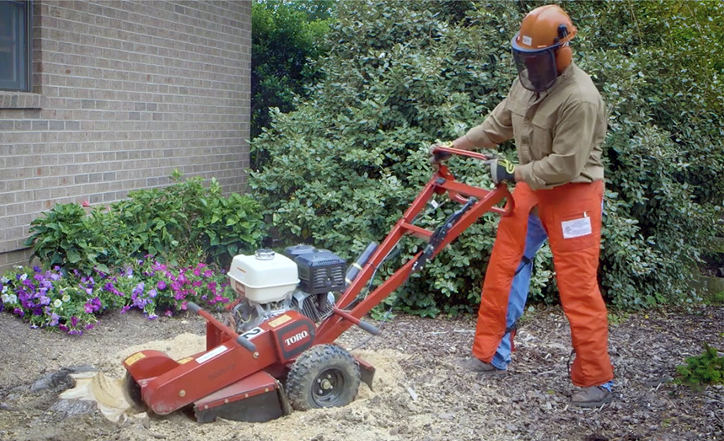 how-to-remove-a-tree-stump-step-7-A how-to-remove-a-tree-stump-step-7-A